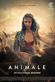 Animale 2024 torrent