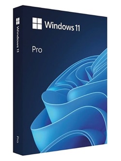 Windows 11 Pro Insider Preview 21H2 Build22538 (x64) incl activ torrent